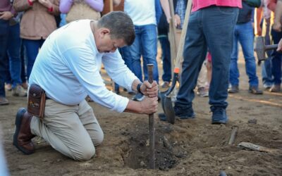 REALIZAN EL RAYADO DE LA PETATERA