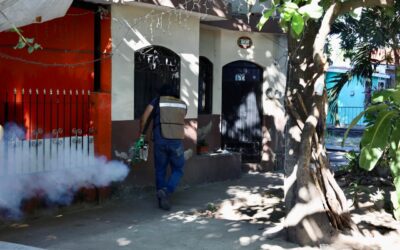 MANTIENE SECRETARÍA DE SALUD FIRME LA FUMIGACIÓN CONTRA EL DENGUE