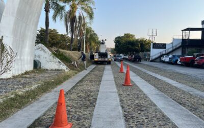 POR UN COLIMA LIMPIO Y SEGURO, AVANZAN LABORES DE PARQUES Y JARDINES