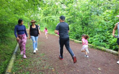 SALUD COLIMA RECOMIENDA ACTIVIDAD FÍSICA PARA UN AÑO MÁS SALUDABLE