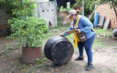 COLIMA FUERA DEL TOP 20 DE ENTIDADES CON MAS CASOS E INCIDENCIA DE DENGUE EN 2025