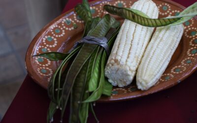 SALUD COLIMA RECOMIENDA ADOPTAR HÁBITOS QUE AYUDAN A MANTENER BUENA SALUD MENTAL