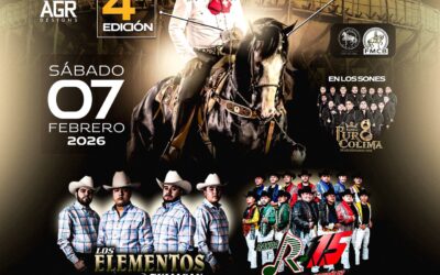 EN LA PETATERA, LA CUARTA EDICIÓN DEL CONCURSO ÉLITE DEL CABALLO B‎AILADOR