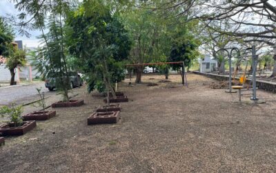 COMPROMISO CUMPLIDO CON LAS Y LOS VECINOS DE LA COLONIA DIAMANTES