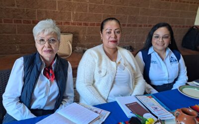 CONVOCAN AL PRIMER SIMPOSIO PARA PROFESIONALES SOBRE AL-ANON Y ALATEEN EN COLIMA