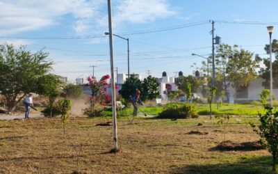 MANTIENE GOBIERNO CAPITALINO REHABILITACIÓN Y EMBELLECIMIENTO DE PARQUES Y JARDINES