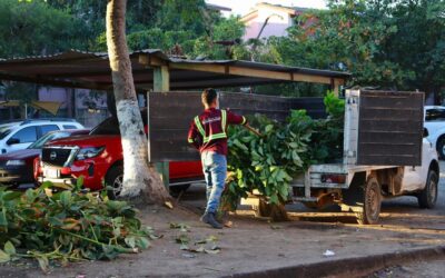 GOBIERNO DE MANZANILLO REALIZA LIMPIEZA Y PODA EN ANDADORES DEL BARRIO 1