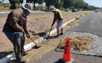 CUADRILLAS DE SERVICIOS PÚBLICOS DEL AYUNTAMIENTO DE COLIMA REALIZARON ESTE DÍA LABORES DE LIMPIEZA GENERAL Y RECOLECCIÓN DE BASURA EN EL LATERAL DEL TERCER ANILLO PERIFÉRICO