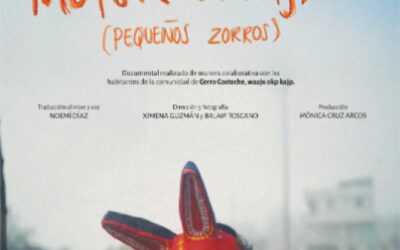 CANAL 12 DE COLIMA TRANSMITIRÁ PARTE DE LA 6ª MUESTRA DE CINE EN LENGUAS ORIGINARIAS DEL IMCINE