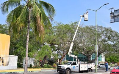 CONTINÚAN LOS TRABAJOS DE MEJORA EN EL ALUMBRADO DE CAMINO REAL