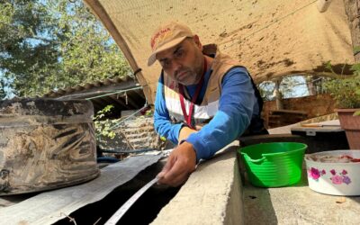 SALUD COLIMA INTENSIFICA CONTROL LARVARIO EN MANZANILLO, TECOMÁN Y ARMERÍA