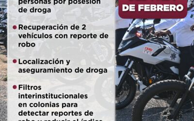 POLICÍA DE MANZANILLO DETIENE A 15 PRESUNTOS CONSUMIDORES Y DISTRIBUIDORES DE DROGA