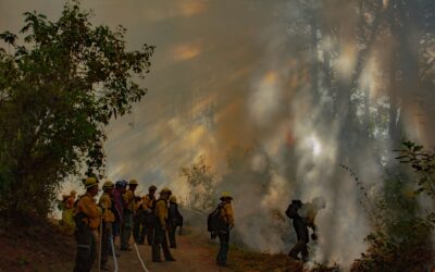QUEMA PRESCRITA EN EJIDO QUESERÍA TRANSCURRE BAJO CONTROL: CONAFOR E IMADES