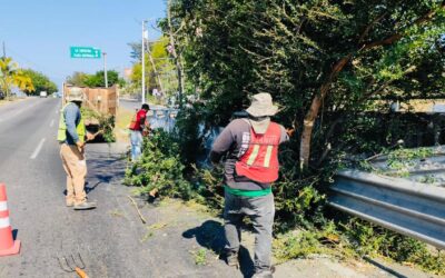 GOBIERNO DE RIULT RIVERA REALIZA TRABAJOS DE LIMPIEZA Y MEJORA SOBRE TERCER ANILLO