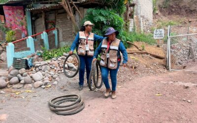 SALUD COLIMA REFUERZA CONTROL LARVARIO CONTRA DENGUE EN CINCO MUNICIPIOS DEL ESTADO