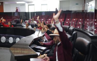 REFORMAN DIPUTADOS CÓDIGO PENAL ESTATAL, RENOMBRAN VIOLENCIA INTRAFAMILIAR POR VIOLENCIA FAMILIAR