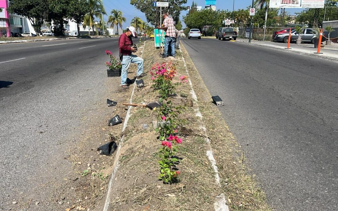 CUADRILLA DE PARQUES Y JARDINES REALIZA LIMPIEZA EN EL TERCER ANILLO PERIFÉRICO