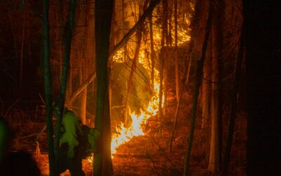 AVANZA CON RESULTADOS POSITIVOS LA QUEMA PRESCRITA EN QUESERÍA, CONTINUARÁ HASTA EL 27 DE FEBRERO