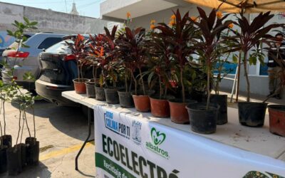 CON ECOELECTRON, RIULT RIVERA ACERCA EL RECICLAJE A LAS FAMILIAS Y APOYA A ALBATROS IAP.