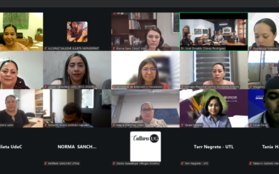 ANUNCIAN LANZAMIENTO DE PLATAFORMA DIGITAL CULTURAL DE LA RED DE ASUNTOS CULTURALES DE ANUIES