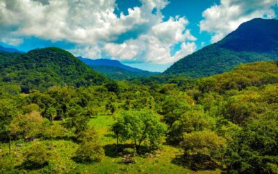 IMADES COLIMA IMPULSA LA RESTAURACIÓN DEL CORREDOR BIOLÓGICO CANOAS-MANANTLÁN