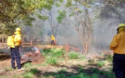 BRIGADA DE GOBIERNO DEL ESTADO DE COLIMA ESTÁ LISTA PARA COMBATIR INCENDIOS FORESTALES