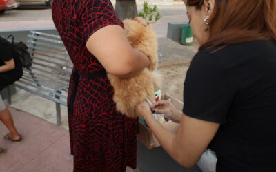 ANUNCIA SALUD INSTALACION DE PUESTOS DE VACUNACIÓN ANTIRRÁBICA EN EL ESTADO, DEL 24 AL 28 DE MARZO