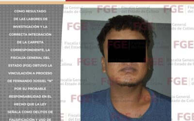 VINCULAN A PROCESO A FALSIFICADOR DE DOCUMENTOS, ROBO Y DAÑOS CONTRA LA SALUD