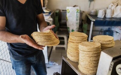 KILO DE TORTILLA PODRÍA LLEGAR A 32 PESOS EN TORTILLERÍAS Y 35 PESOS EN TIENDAS DE ABARROTES A PARTIR DE MAYO
