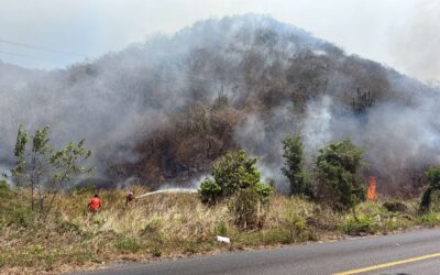 IMADES COLIMA PIDE PREVENIR INCENDIOS FORESTALES EN ESTIAJE; 90% SON PROVOCADOS POR ACTIVIDAD HUMANA