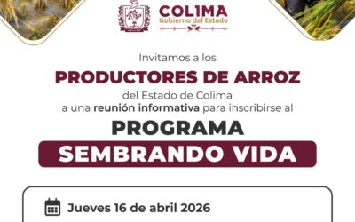 GOBIERNO DEL ESTADO DE COLIMA INVITA A LAS Y LOS PRODUCTORES DE ARROZ A REUNIÓN DE SEMBRANDO VIDA