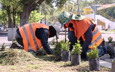 POR UN COLIMA MÁS VERDE: RIULT RIVERA Y LA PARTICIPACIÓN CIUDADANA IMPULSAN EL PROGRAMA “COLIMA VERDE Y VIVO”