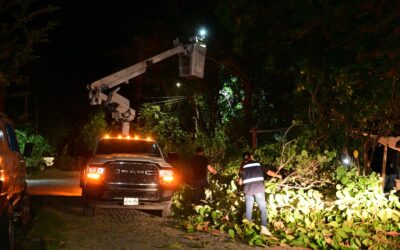 A ALTAS HORAS DE LA MADRUGADA, RIULT RIVERA CONCLUYE LOS TRABAJOS DE PODA Y LUMINARIAS EN MOCTEZUMA Y JARDINES DEL SOL.