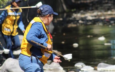 ACUMULA COLIMA 20 AÑOS SIN PALUDISMO, GRACIAS A LA PREVENCIÓN