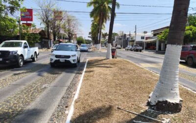 DESTACA STSAC LABOR DE AGREMIADOS PARA REHABILITAR CAMELLONES Y ÁREAS VERDES DE LA CAPITAL