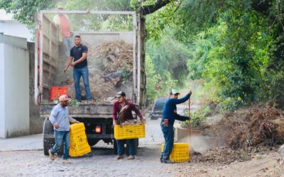 SANEAN ARROYOS DURANTE MACRO BRIGADA DE LIMPIEZA DE VDEA