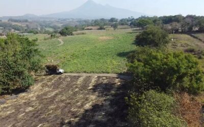 GOBIERNO DEL ESTADO DE COLIMA ENTREGÓ REHABILITACIÓN DE CAMINOS SACACOSECHAS EN ZONA RURAL DE TRES MUNICIPIOS