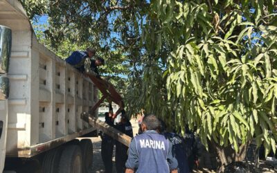 MARINA COLABORA EN LA “JORNADA DE ELIMINACIÓN DE CRIADEROS DE MOSQUITOS” EN MANZANILLO, COLIMA