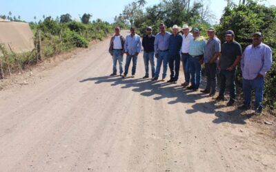 REHABILITAN CAMINOS SACACOSECHAS EN COMUNIDADES RURALES DE ARMERÍA