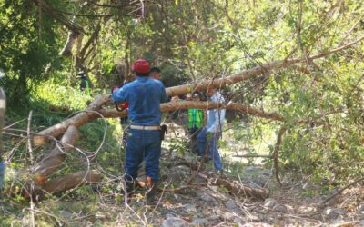 ANUNCIA AYUNTAMIENTO DE COLIMA LIMPIEZA EN ARROYOS Y RÍOS ANTE TEMPORADA DE LLUVIAS