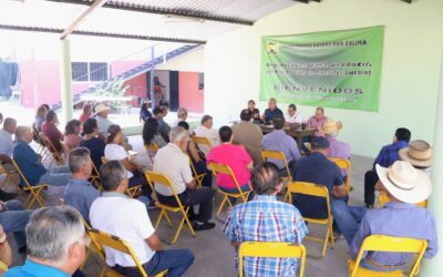 SEDECO Y SECTOR PRODUCTIVO IMPULSAN EL DESARROLLO EN EL ESTADO DE COLIMA