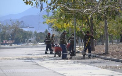 REFORESTA ASIPONA EL PASEO SAN PEDRITO, FRENTE A LA PLAYA