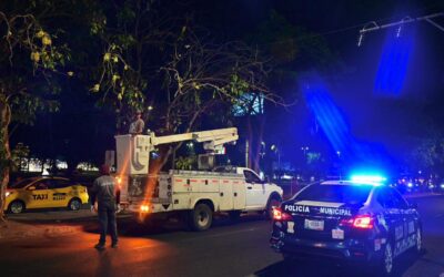 COMENZARON TRABAJOS DE PODA Y MANTENIMIENTO EN CAMELLONES DE SEVILLA DEL RÍO