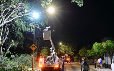 SE CONTINÚA CON PODA Y COLOCACIÓN DE LUMINARIAS, AHORA RESIDENCIAL PRIMAVERAS Y ROMANZA