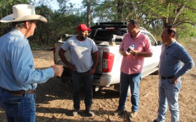 INSTA GOBIERNO DEL ESTADO A GANADEROS A NO BAJAR LA GUARDIA CONTRA EL GUSANO BARRENADOR