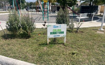 IMPULSA MUNICIPIO CAPITALINO LA RECUPERACIÓN DE ESPACIOS PÚBLICOS EN COLIMA CON ACCIONES DE MANTENIMIENTO Y LIMPIEZA