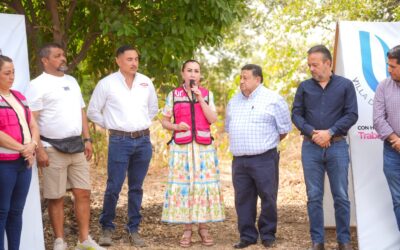 CONSOLIDAN VDEA, CMIC Y CANADEVI TRABAJO COLABORATIVO