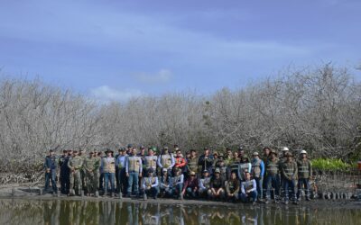 REFORESTAN LAGUNA DE CUYUTLÁN, ASIPONA, SEXTA REGIÓN NAVAL Y TORTUGARIO.