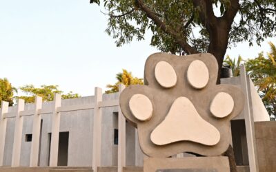 GOBIERNO DE ROSI BAYARDO AVANZA EN LA CONSTRUCCIÓN DEL CENTRO DE BIENESTAR ANIMAL