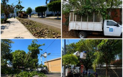REFUERZA AYUNTAMIENTO CAPITALINO PODA Y LIMPIEZA ANTE INMINENTE TEMPORADA DE LLUVIAS